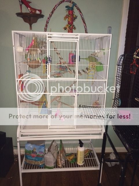 newcage_zpsj3bhblhb.jpg
