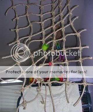 netting.jpg