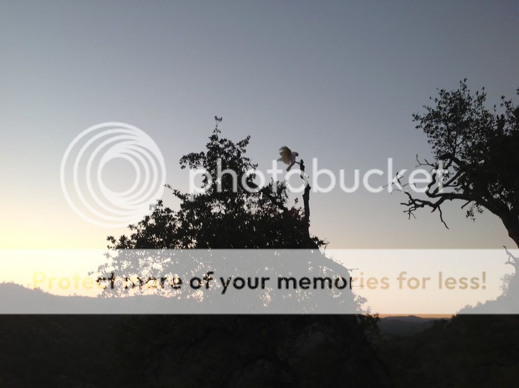 077f92e395ca5a62eb4f7835330c630f.jpg