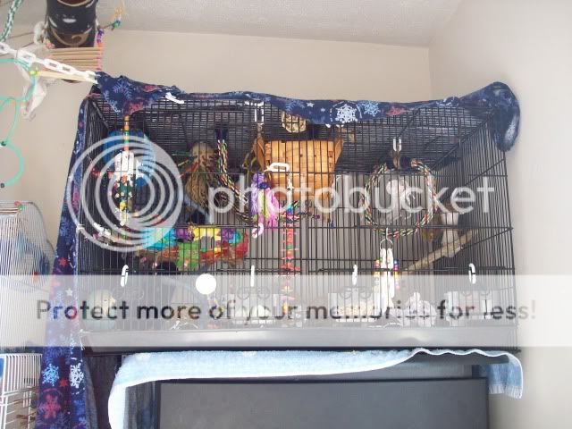 310_8609.jpg