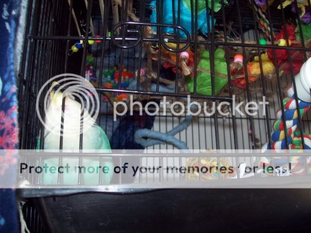 310_8621.jpg