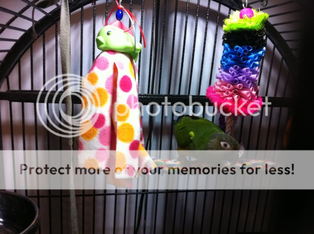 photo8.jpg