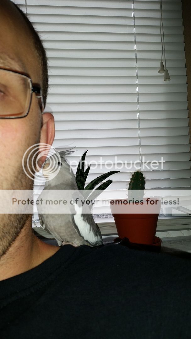 20150704_105118_zps57of9twq.jpg
