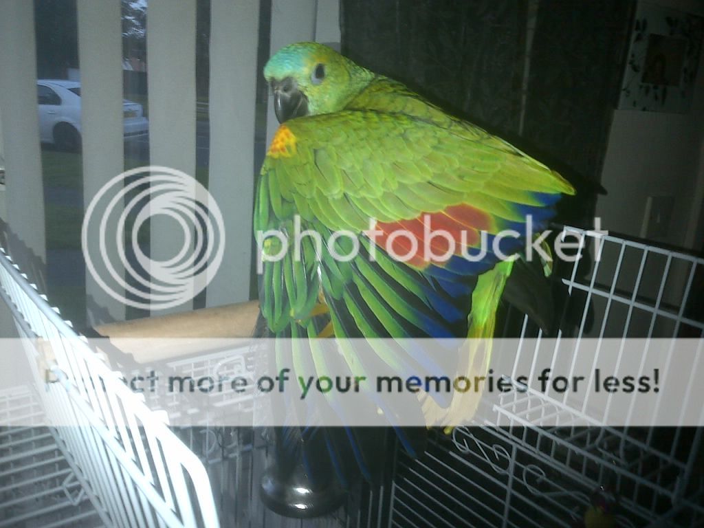 Mybeautifulboy.jpg