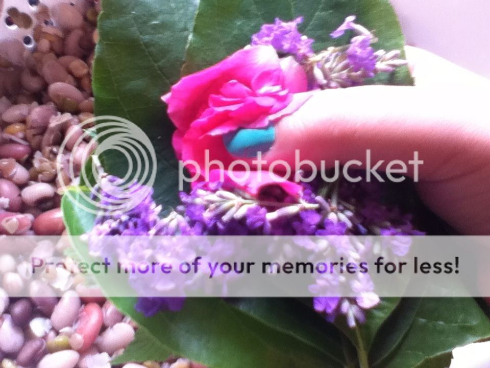 FDA51F34-5096-47D6-BCF1-3F9869A751CD-1878-000003B691F99FA5_zpsb09e017f.jpg