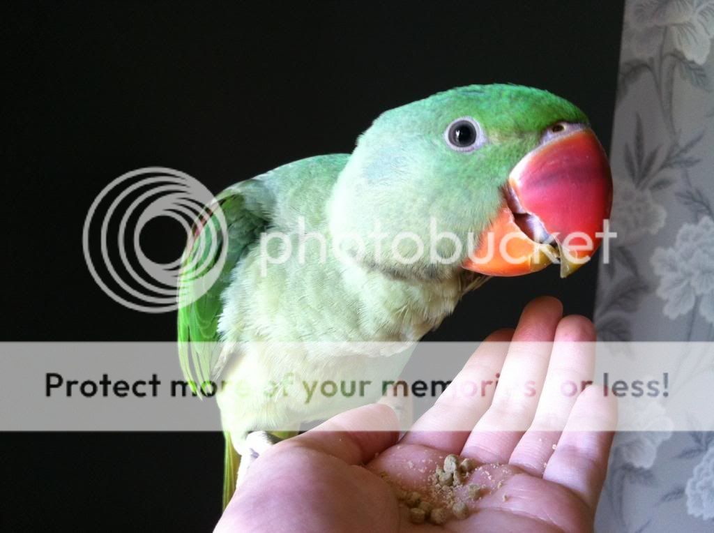 image_zps6070809a.jpg