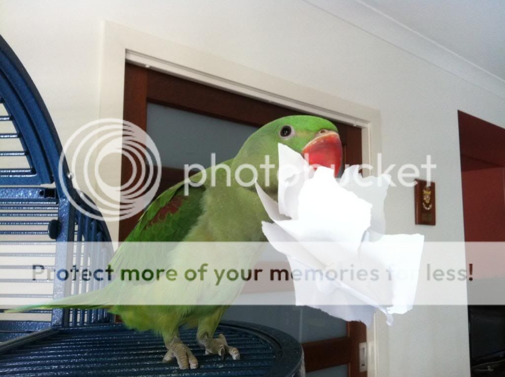 image_zps76d63a11.jpg