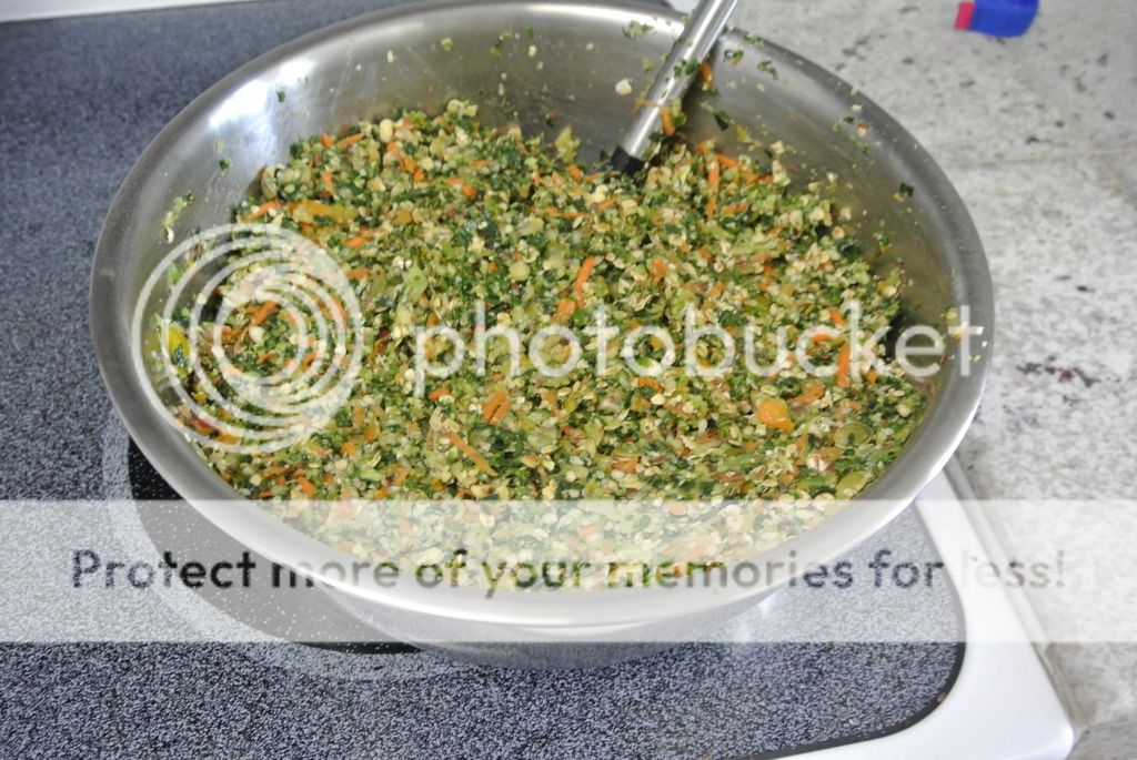 DSC_9226_zpstuzyxjmn.jpg