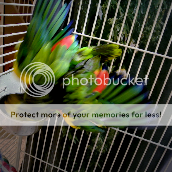 20ac4214-a709-4542-bd62-e0040527efd5_zpsufjmzwhu.png