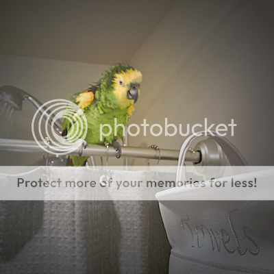 2fa63621-75de-4921-a147-06cf6c0a57a0_zpsjpb6phgi.png