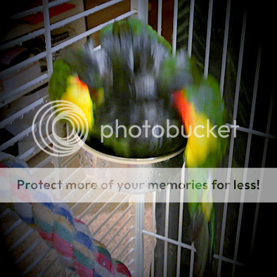 79a2527b-7211-4116-b45b-328245561a60_zpshsqyr4ld.png