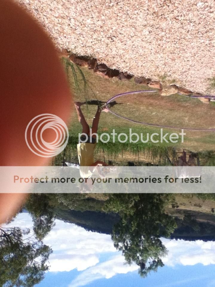 IMG_4348_zps223f63ce.jpg