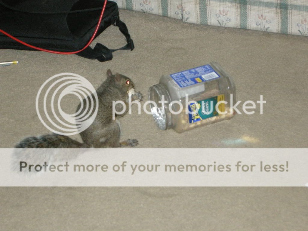 DSCN9525.jpg