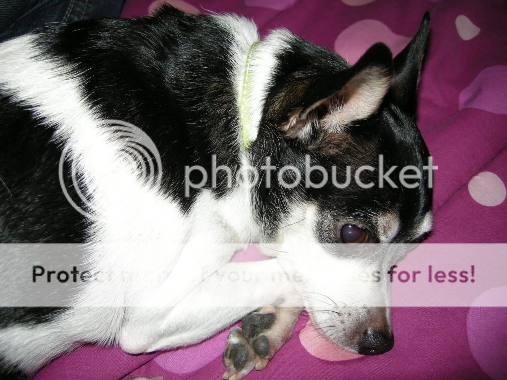 DSCN9528.jpg