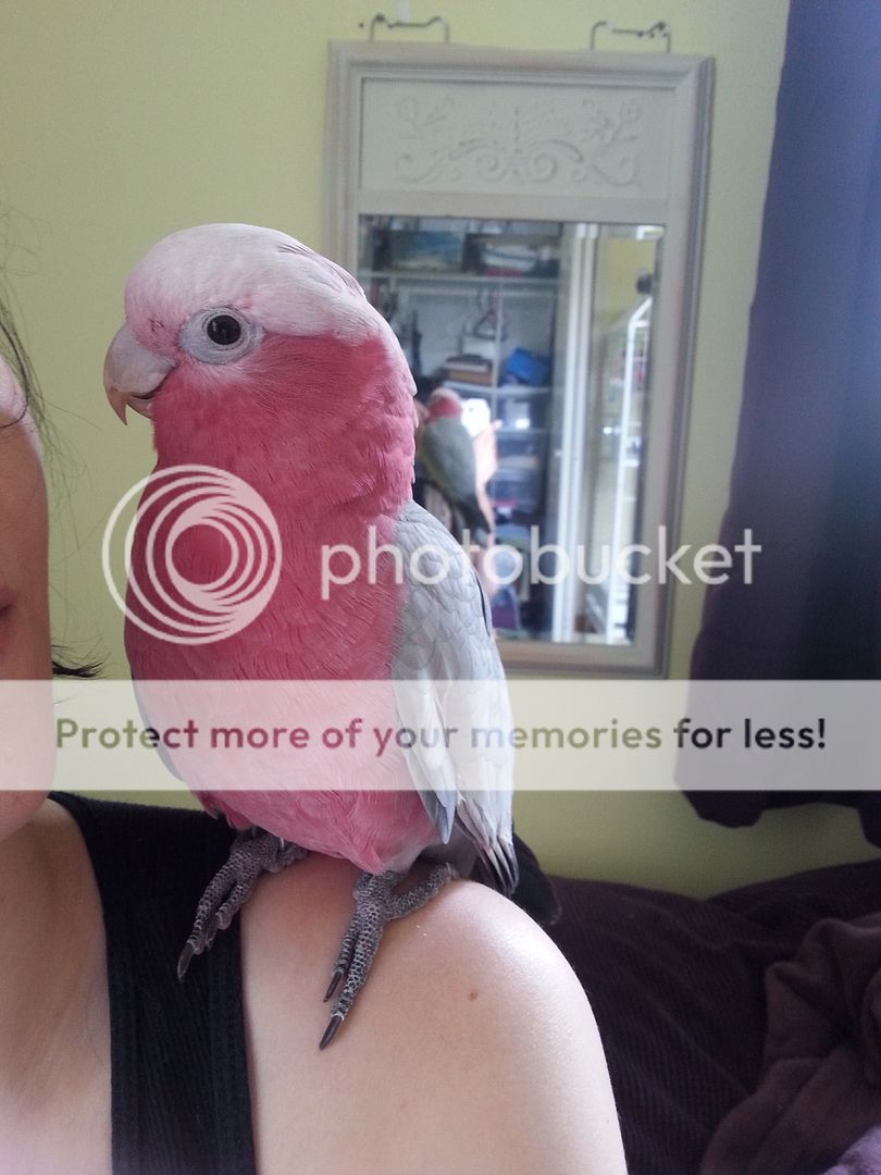20150707_153504.jpg
