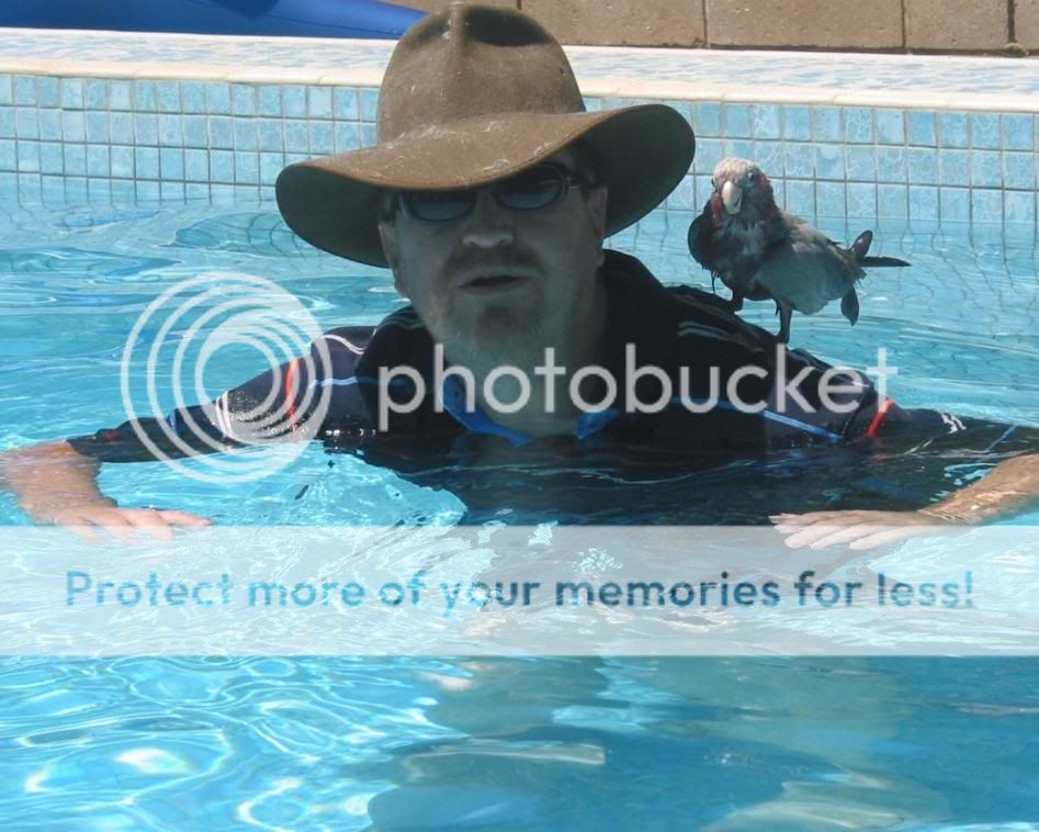 felixlatestpool025.jpg