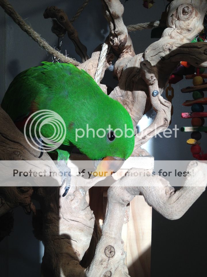 IMG_5362_zpsum0gfz6y.jpg