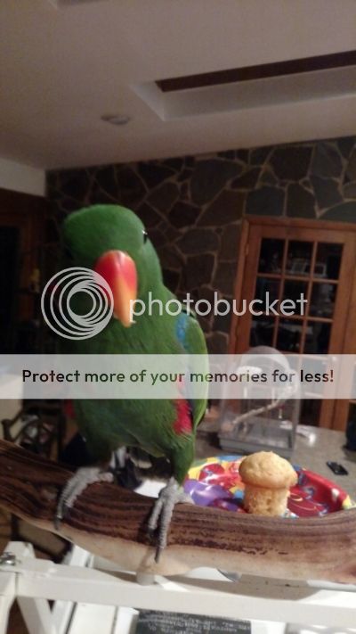 a8986568-e29d-41cc-8ff7-fc1ddc48b4fc_zpsvjjgulv9.jpg