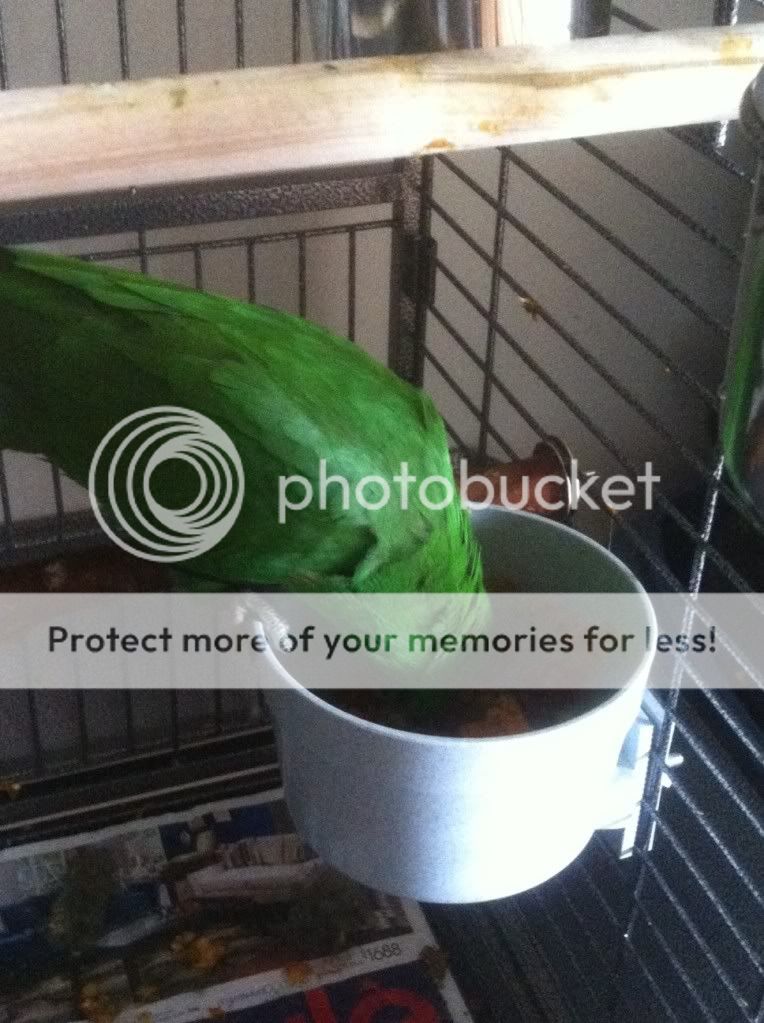 photo4.jpg