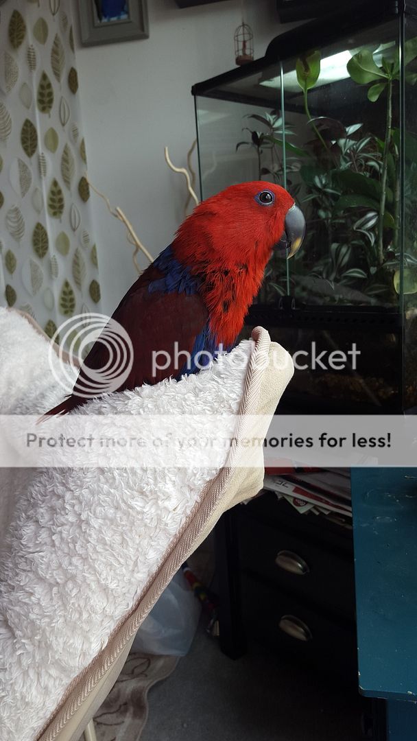 20160316_121646_zps7evt2qki.jpg