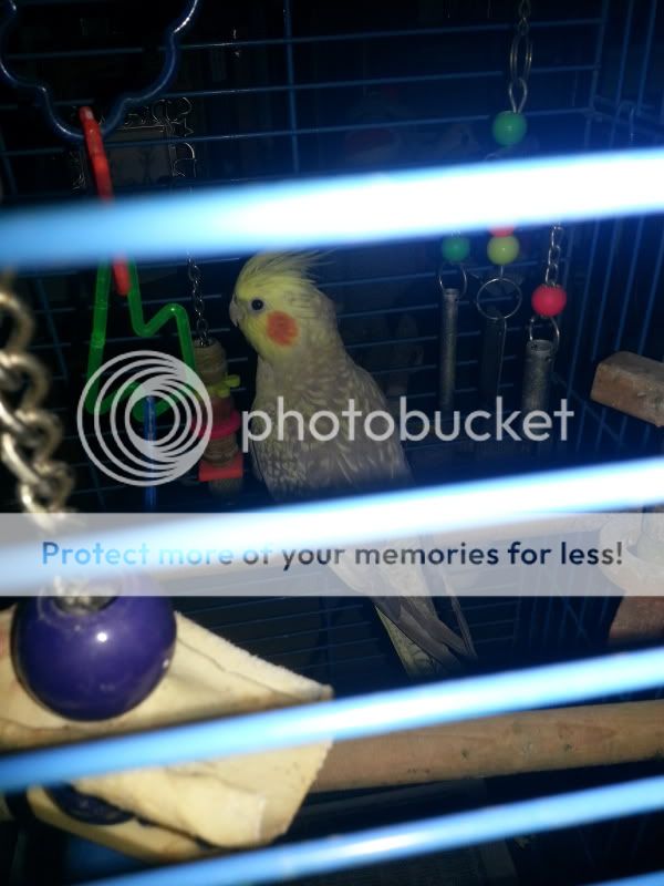 20130928_170333_zpse49df14f.jpg