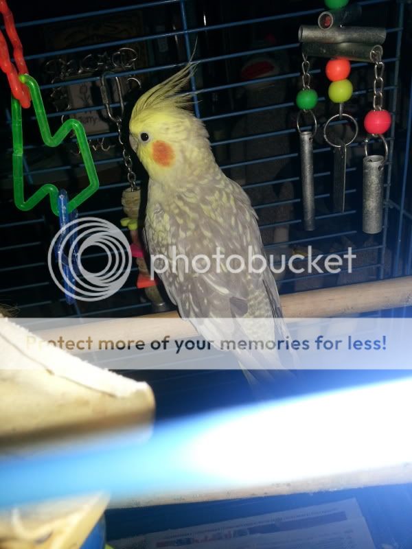 20130928_170400_zpsc0d4c863.jpg