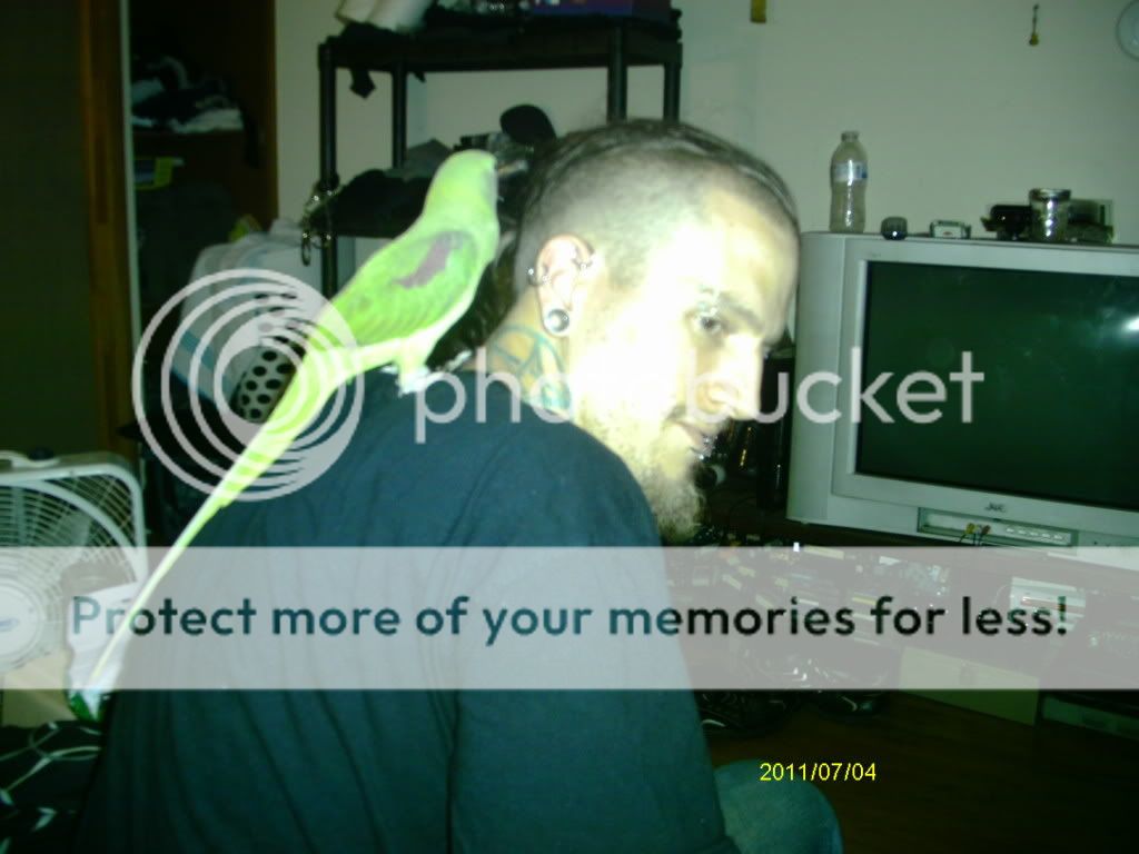 IMAG1388.jpg