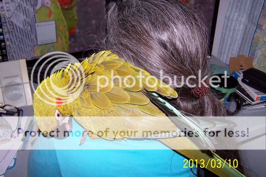 100_2285_zps588bac34.jpg