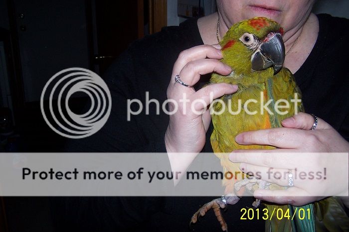 Valentinochestcuddle_zps5ee2e0bc.jpg