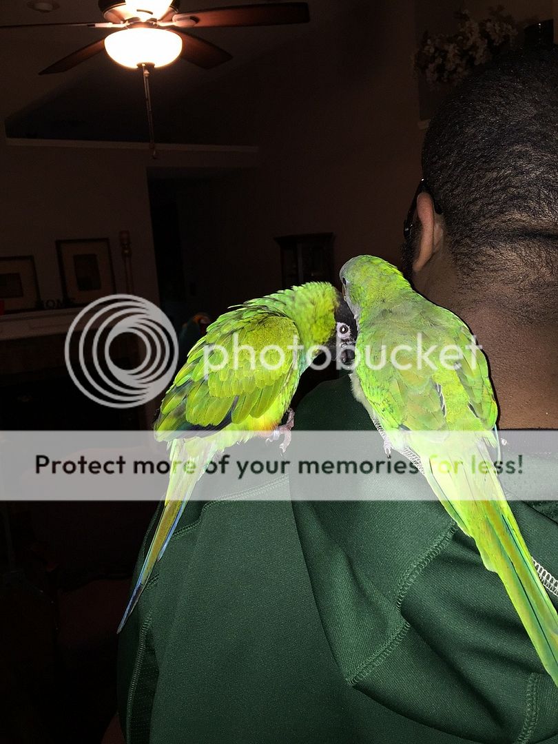 IMG_0102_zpsts2bht1w.jpg