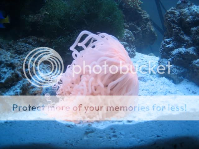 IMG_4051.jpg