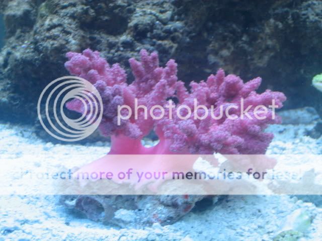 IMG_4074.jpg