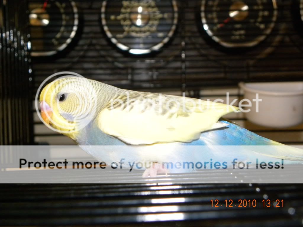 DSCN3275.jpg