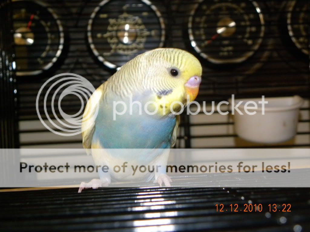 DSCN3277.jpg