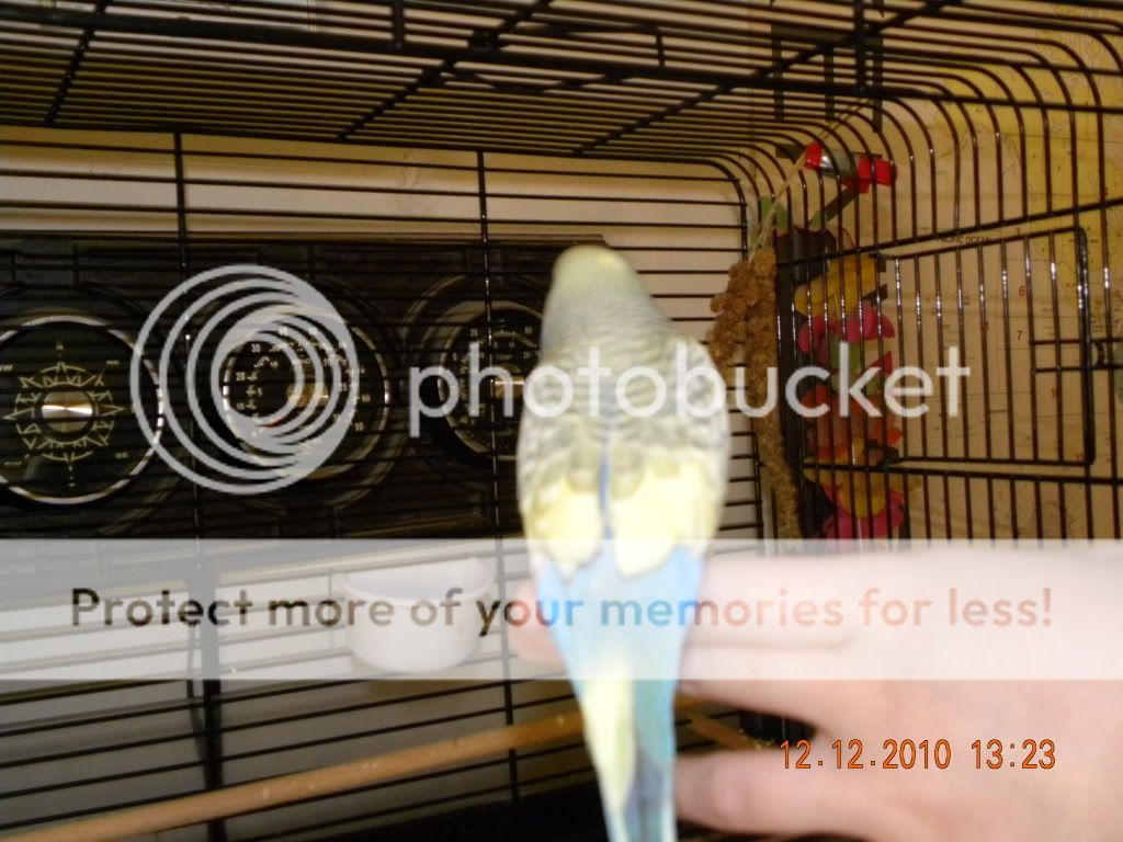 DSCN3279.jpg
