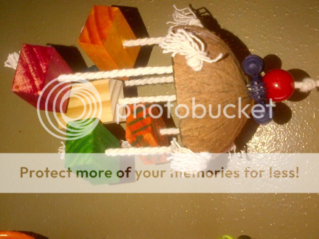 IMG-20131230-00523_zps3279042e.jpg