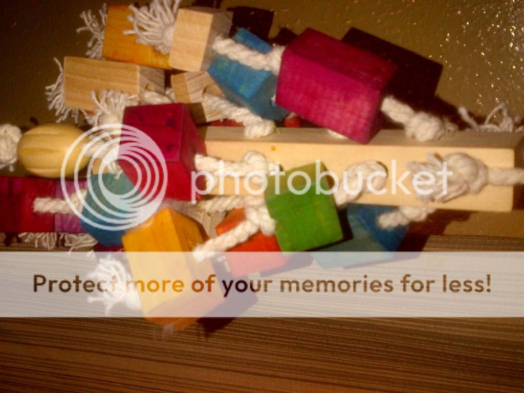 IMG-20131230-00524_zpsa883e96f.jpg