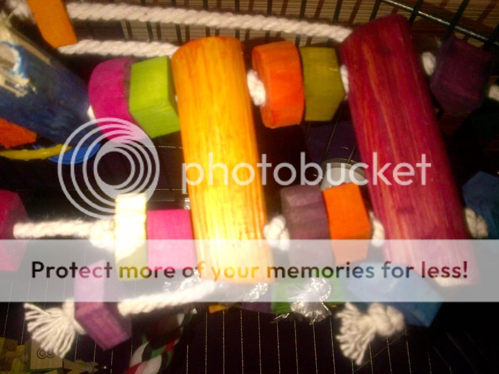 IMG-20131230-00529_zps49458d5c.jpg