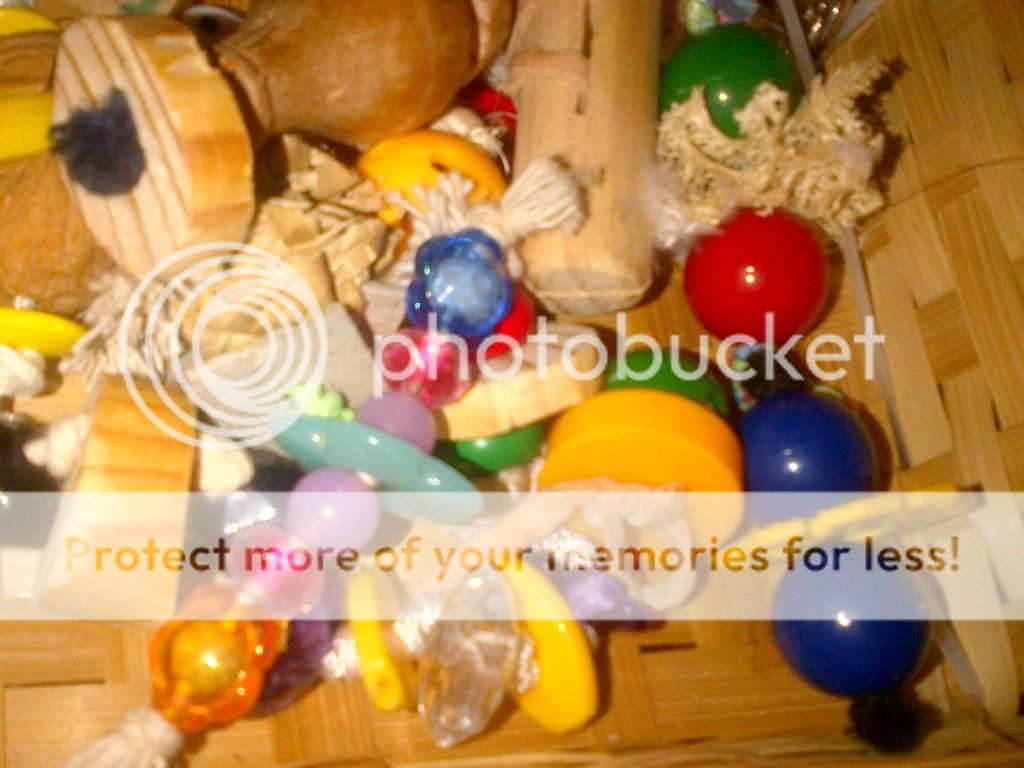 IMG-20131230-00536_zps585693ce.jpg