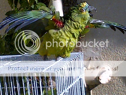 IMG-20140604-00053_zps867f5ac0.jpg
