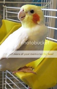spike_zpszbz639a7.jpg