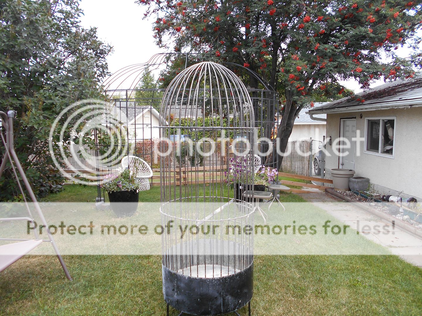 weddingcage019_zps683b06a3.jpg