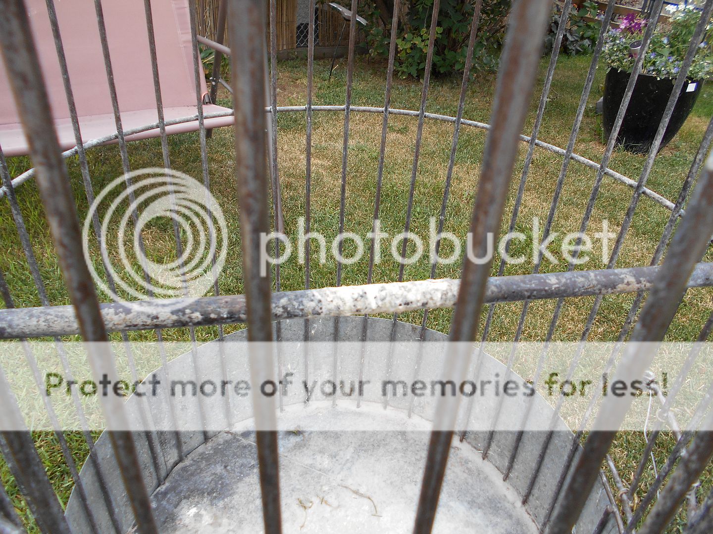 weddingcage023_zps9a554027.jpg