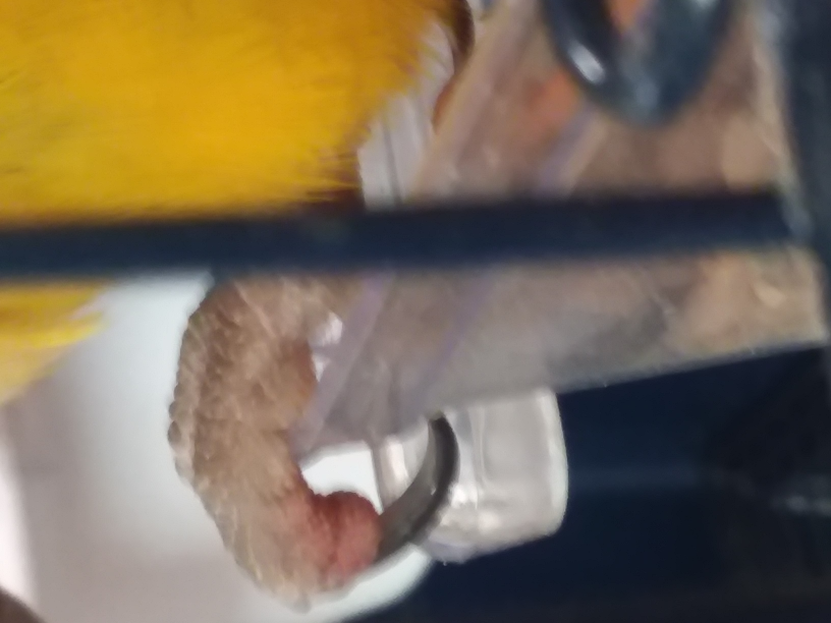 20181111134109.jpg